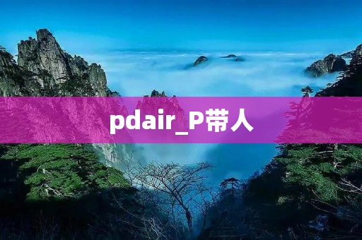 pdair_P带人