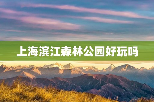 上海滨江森林公园好玩吗 上海滨江森林公园好玩吗