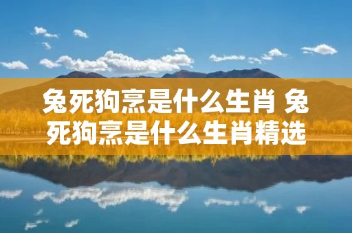 兔死狗烹是什么生肖 兔死狗烹是什么生肖精选解释