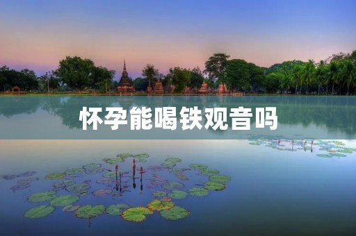 怀孕能喝铁观音吗