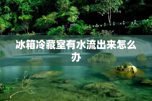冰箱冷藏室有水流出来怎么办 冰箱冷藏室有水流出来怎么办