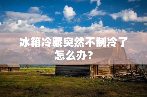 冰箱冷藏突然不制冷了怎么办? 冰箱冷藏突然不制冷了怎么办?