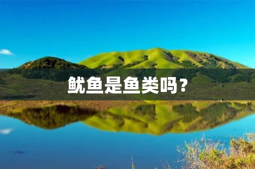 鱿鱼是鱼类吗？