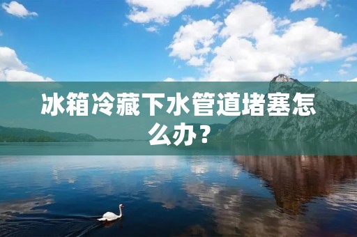 冰箱冷藏下水管道堵塞怎么办? 冰箱冷藏下水管道堵塞怎么办?