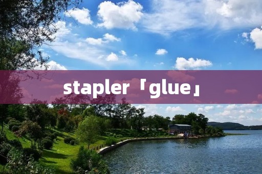 stapler「glue」