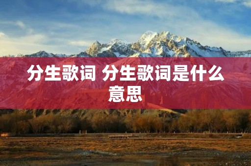 分生歌词 分生歌词是什么意思