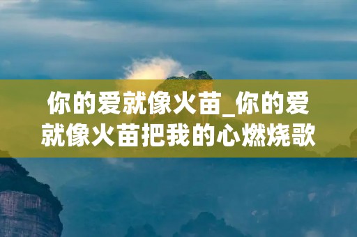 你的爱就像火苗_你的爱就像火苗把我的心燃烧歌词