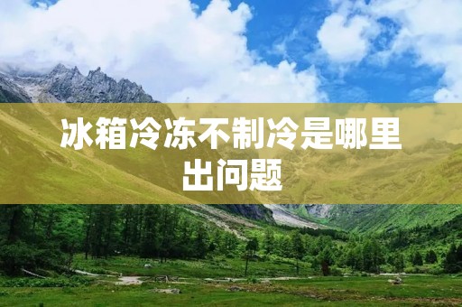 冰箱冷冻不制冷是哪里出问题