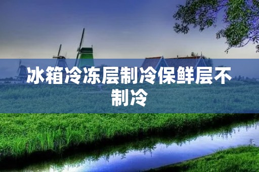 冰箱冷冻层制冷保鲜层不制冷:解决方法与注意事项 冰箱冷冻层制冷保鲜层不制冷:解决方法与注意事项