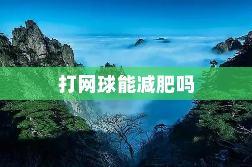 打网球能减肥吗