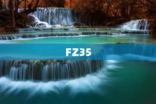 FZ35:一款强大的数码相机 FZ35:一款强大的数码相机