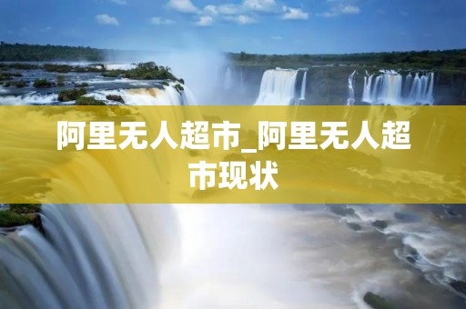阿里无人超市_阿里无人超市现状