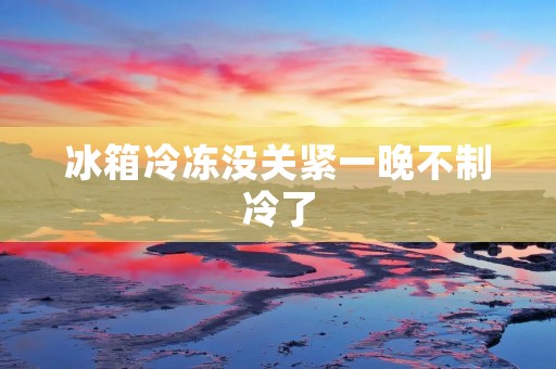 冰箱冷冻没关紧一晚不制冷了:原因与解决方案 冰箱冷冻没关紧一晚不制冷了:原因与解决方案