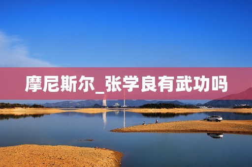 摩尼斯尔_张学良有武功吗