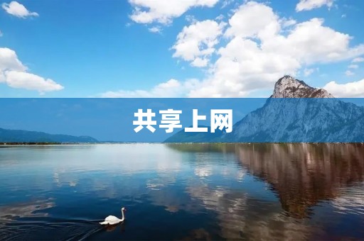 共享上网：打破网络壁垒，畅享无限可能