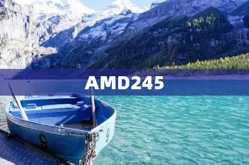 AMD245：革命性的计算机处理器