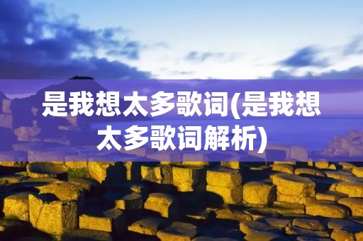 是我想太多歌词(是我想太多歌词解析)