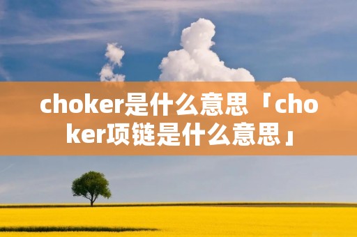 choker是什么意思「choker项链是什么意思」
