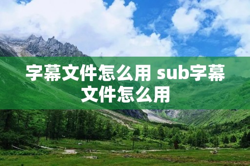 字幕文件怎么用 sub字幕文件怎么用 字幕文件怎么用 sub字幕文件怎么用