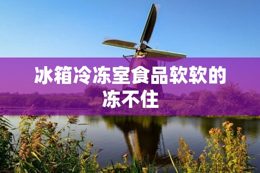 冰箱冷冻室食品软软的冻不住:原因与解决方法