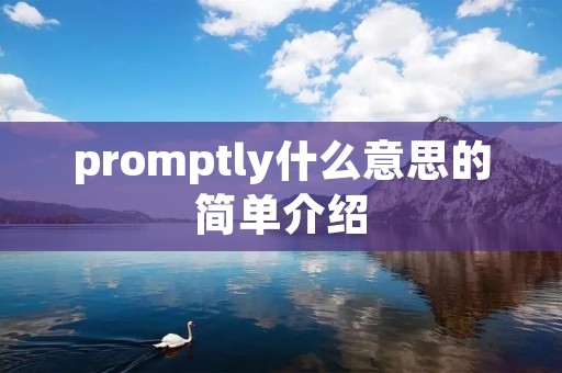 promptly什么意思的简单介绍
