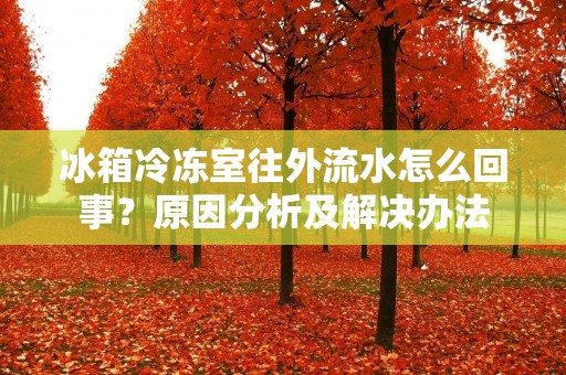 冰箱冷冻室往外流水怎么回事？原因分析及解决办法