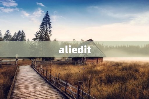 aliedit：打造专业网站编辑团队，为您量身定制高质量文章