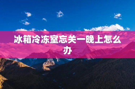冰箱冷冻室忘关一晚上怎么办 冰箱冷冻室忘关一晚上怎么办