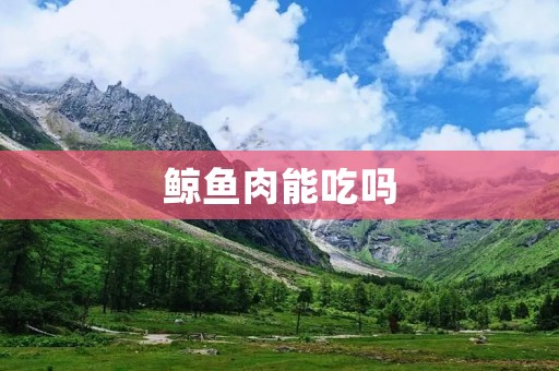 鲸鱼肉能吃吗