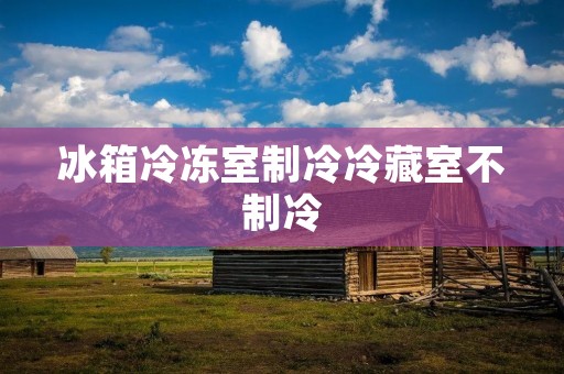 冰箱冷冻室制冷冷藏室不制冷:原因与解决方案 冰箱冷冻室制冷冷藏室不制冷:原因与解决方案