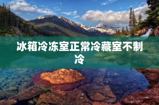 冰箱冷冻室正常冷藏室不制冷：原因和解决方法