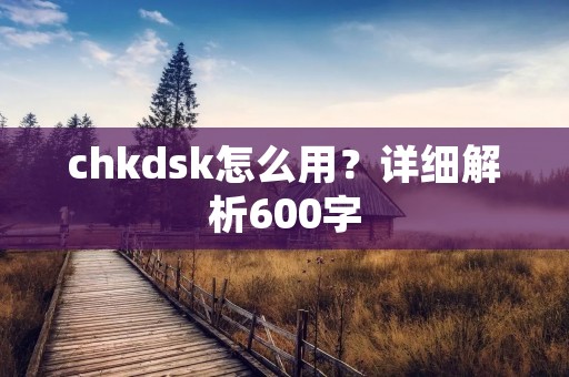 chkdsk怎么用？详细解析600字