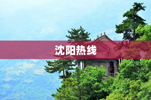 沈阳热线:了解沈阳市最新资讯和服务的首选平台 沈阳热线:了解沈阳市最新资讯和服务的首选平台