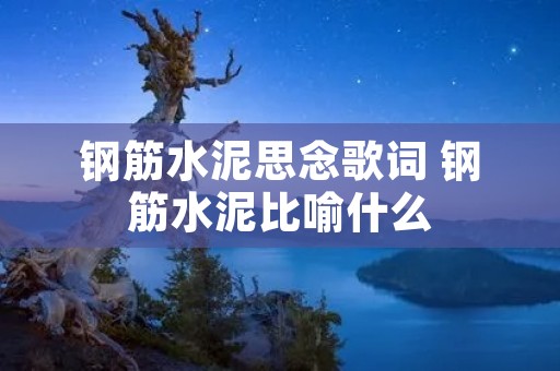 钢筋水泥思念歌词 钢筋水泥比喻什么 钢筋水泥思念歌词 钢筋水泥比喻什么