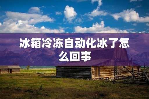 冰箱冷冻自动化冰了怎么回事：解决方案与注意事项