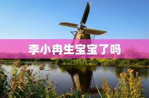 李小冉生宝宝了吗 李小冉生宝宝了吗