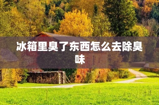 冰箱里臭了东西怎么去除臭味：有效清除冰箱异味的方法