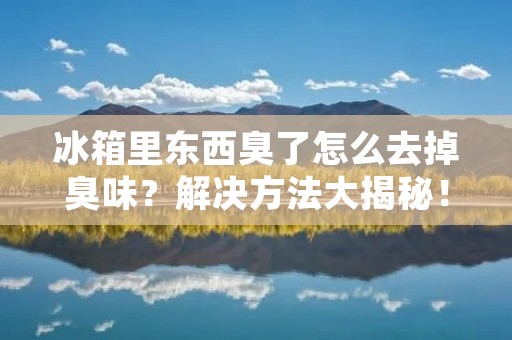 冰箱里东西臭了怎么去掉臭味？解决方法大揭秘！