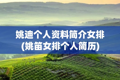 姚迪个人资料简介女排(姚笛女排个人简历)