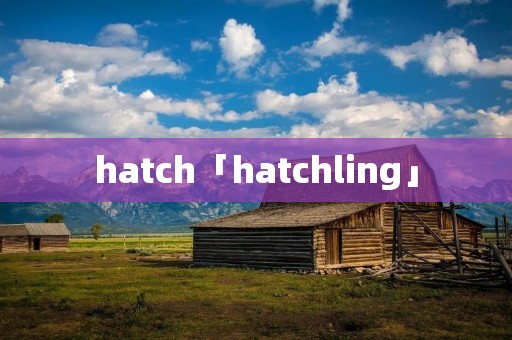 hatch「hatchling」