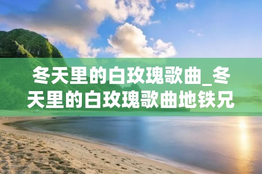 冬天里的白玫瑰歌曲_冬天里的白玫瑰歌曲地铁兄弟