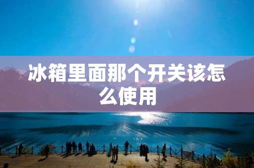 冰箱里面那个开关该怎么使用