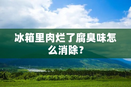 冰箱里肉烂了腐臭味怎么消除? 冰箱里肉烂了腐臭味怎么消除?