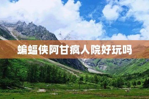 蝙蝠侠阿甘疯人院好玩吗