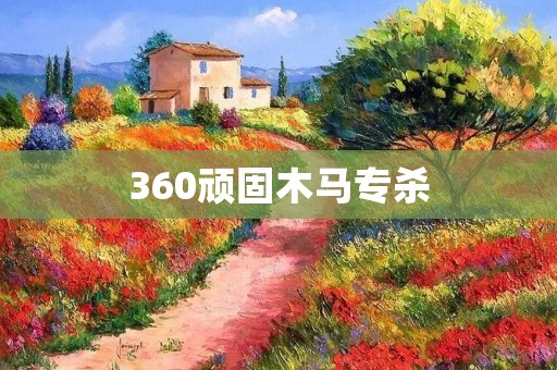 360顽固木马专杀：打击网络安全威胁的利剑