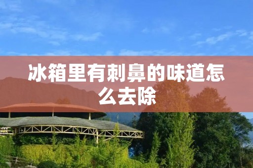 冰箱里有刺鼻的味道怎么去除 冰箱里有刺鼻的味道怎么去除