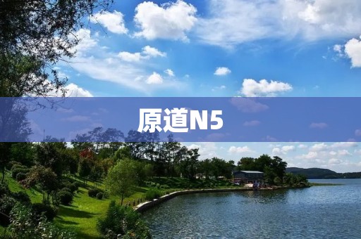 原道N5:打开你的日语学习之门 原道N5:打开你的日语学习之门