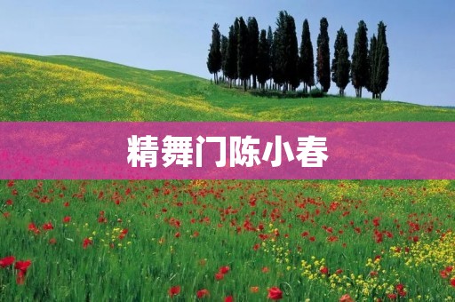 精舞门陈小春:舞出音乐的魅力 精舞门陈小春:舞出音乐的魅力