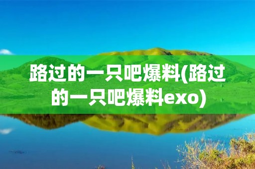 路过的一只吧爆料(路过的一只吧爆料exo)