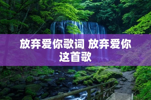 放弃爱你歌词 放弃爱你这首歌